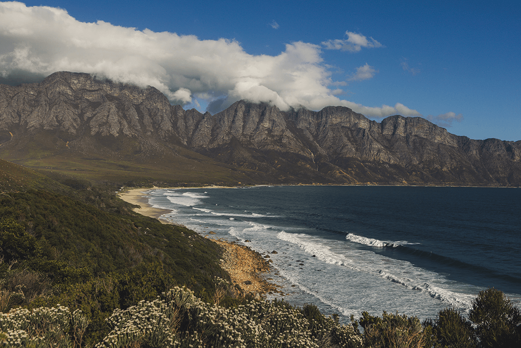 Wale beobachten in Hermanus: Die Garden Route mit Familie entdecken - Teil 3