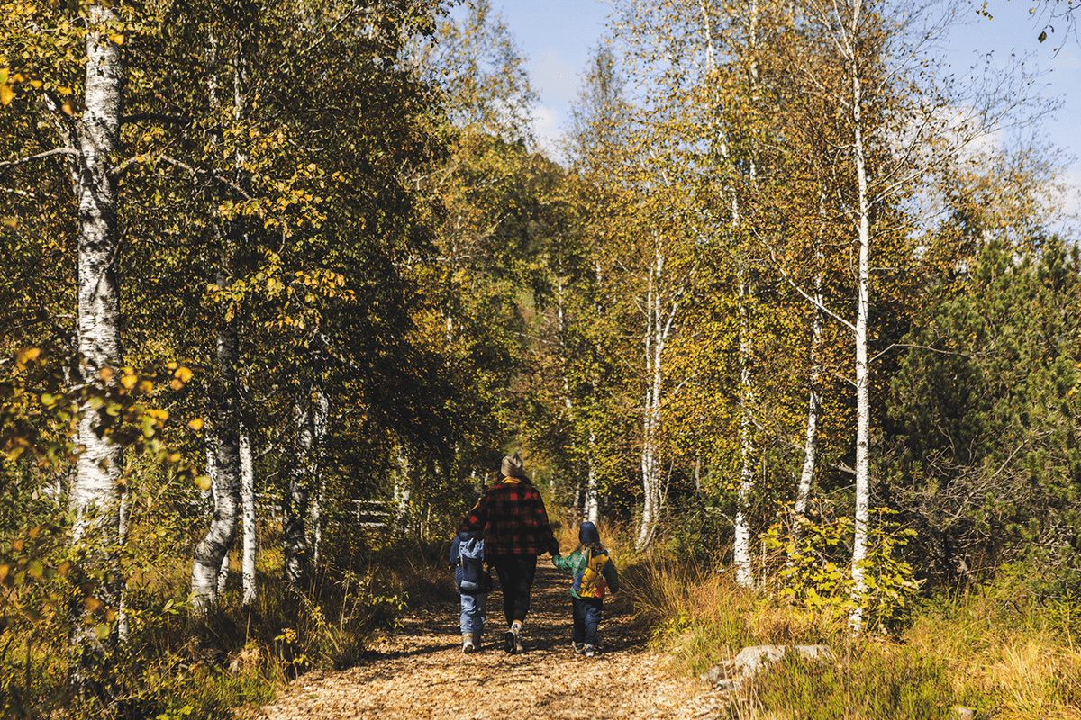 Herbstwanderung durchs bunte Moor mit Kindern im Allgäu