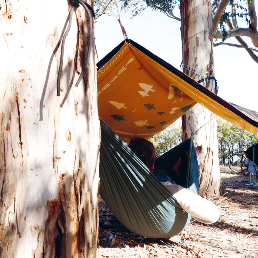 Campingdecke Wild & Free