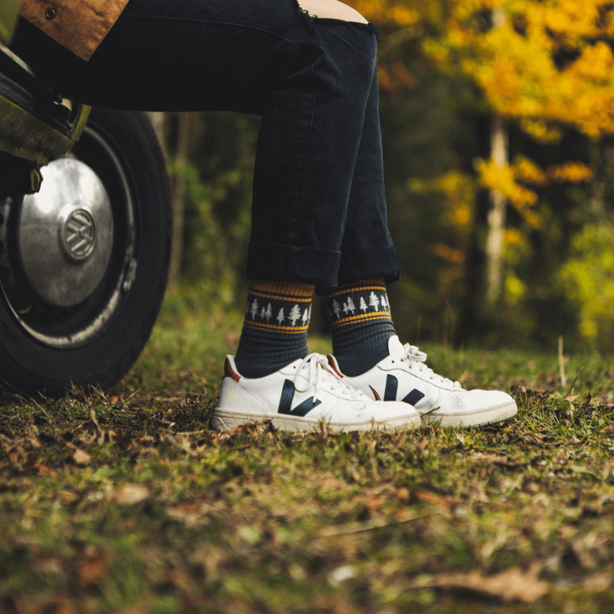 Socks Trees