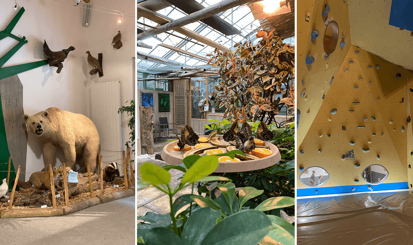 Regenwetter im Allgäu: 5 Schlechtwetter-Tipps für das Ostallgäu