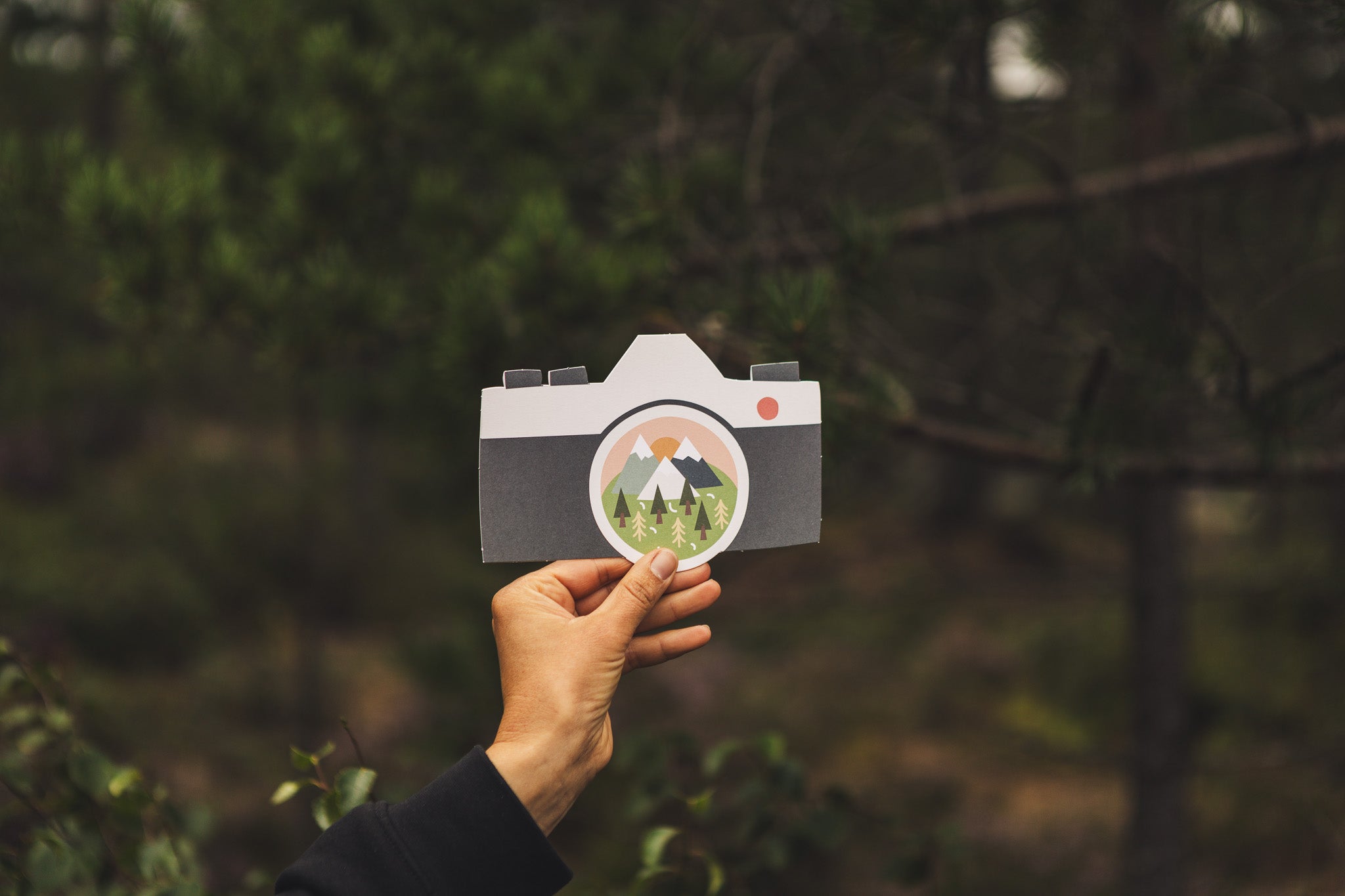 Postcard punched camera